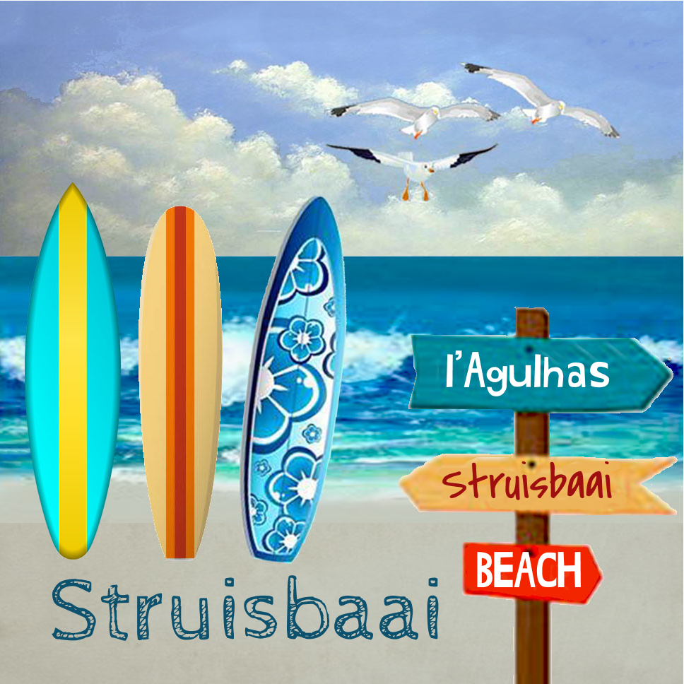Struisbaai Coaster 1