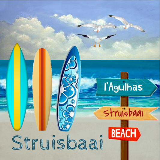 Struisbaai Coaster 1