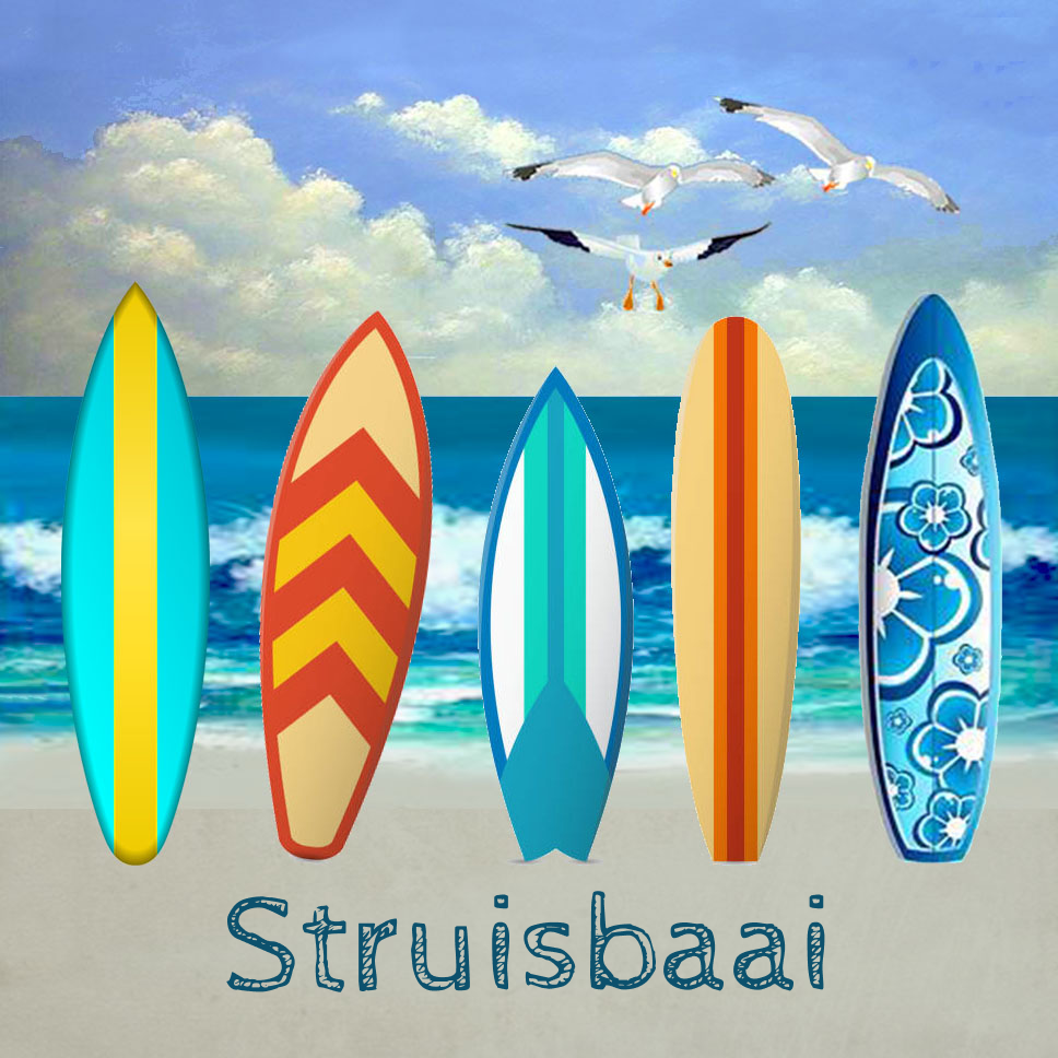Struisbaai Coaster 2