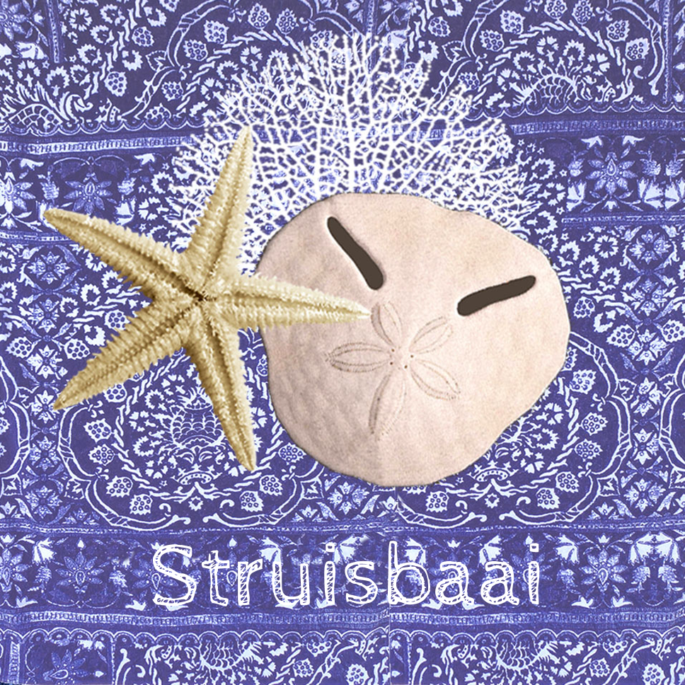 Struisbaai Coaster 6