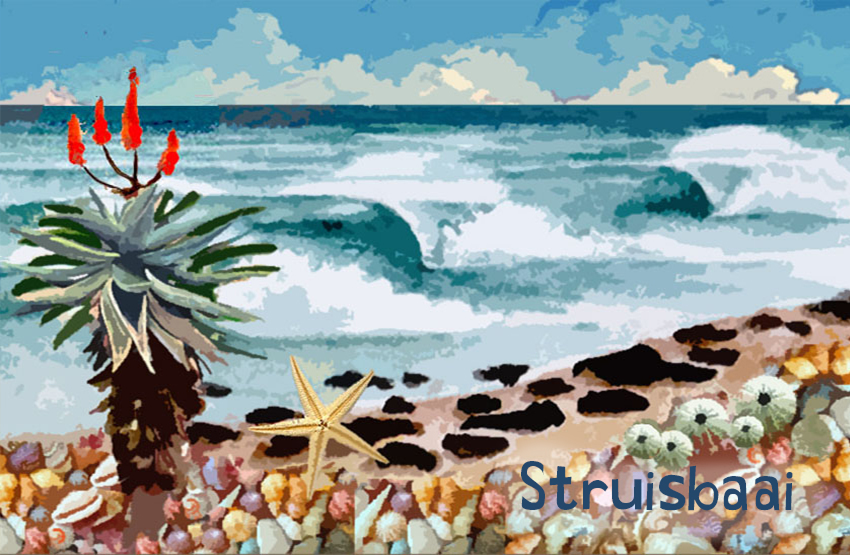 Struisbaai Magnet 16