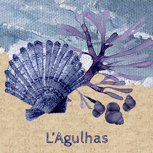 Lagulhas Coaster 1