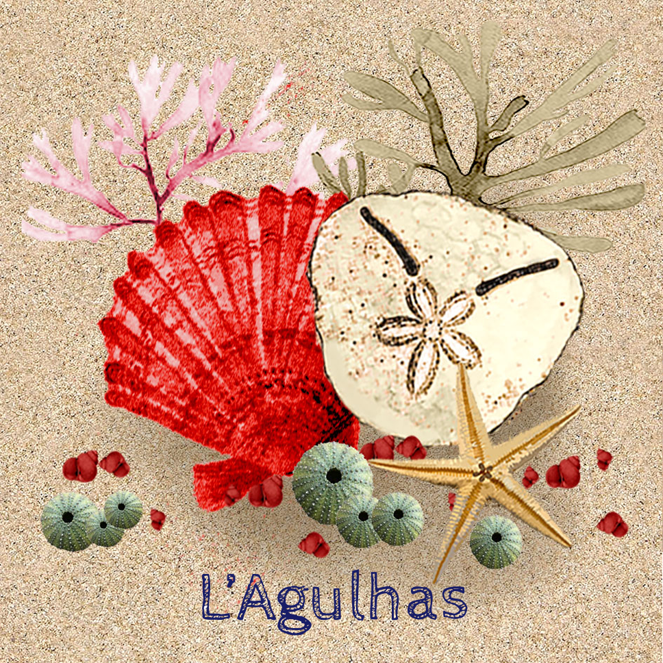 Lagulhas Coaster 2