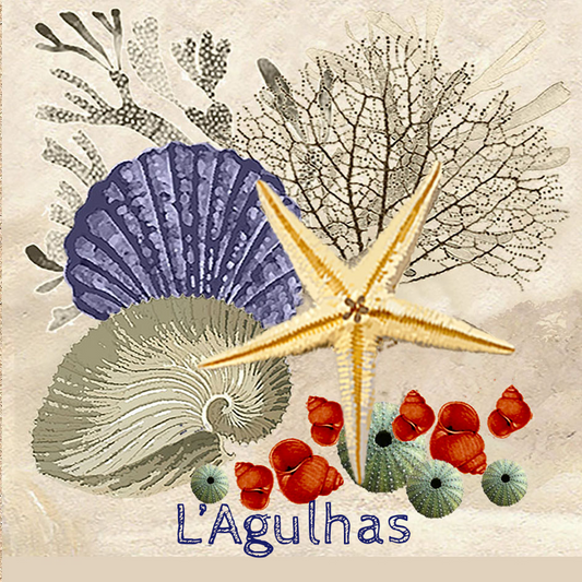 Lagulhas Coaster 3