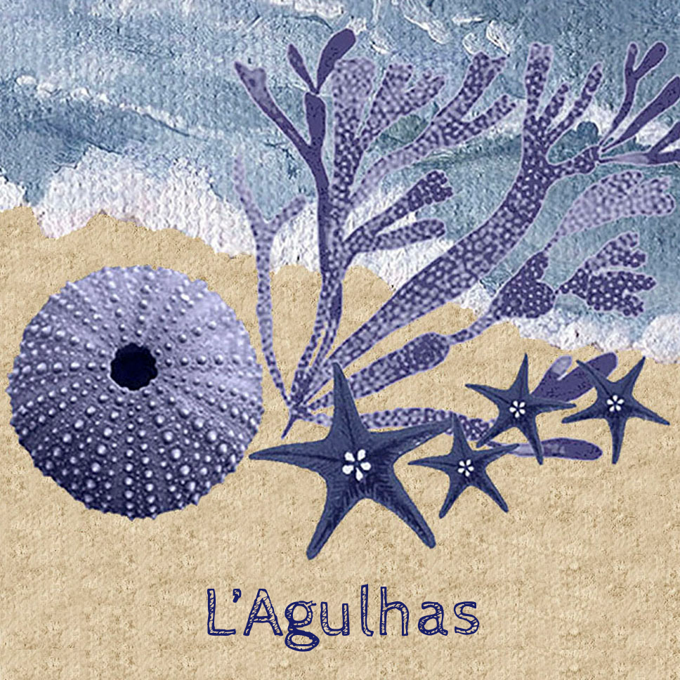 Lagulhas Coaster 6