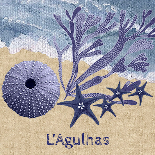 Lagulhas Coaster 6