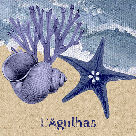 Lagulhas Coaster 7