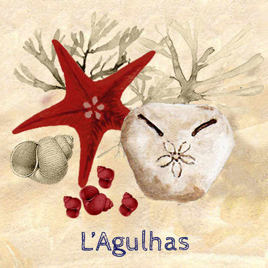 Lagulhas Coaster 9