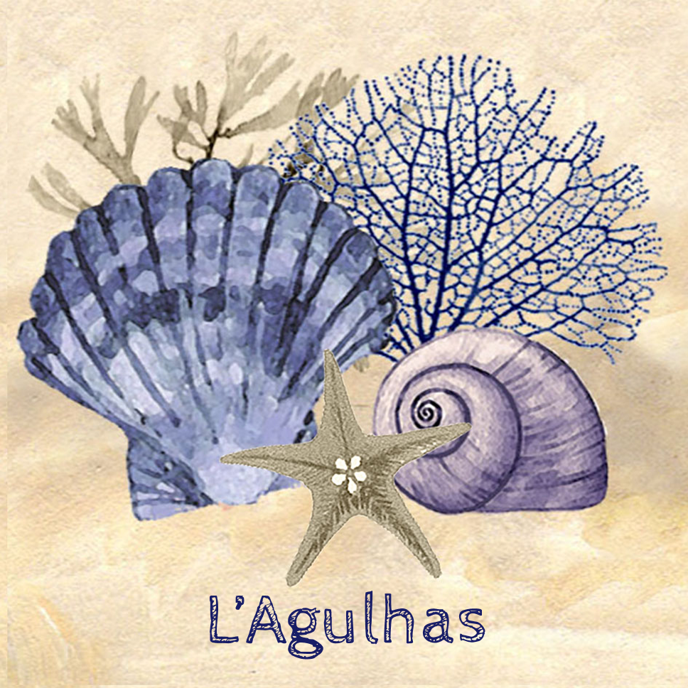 Lagulhas Coaster 10