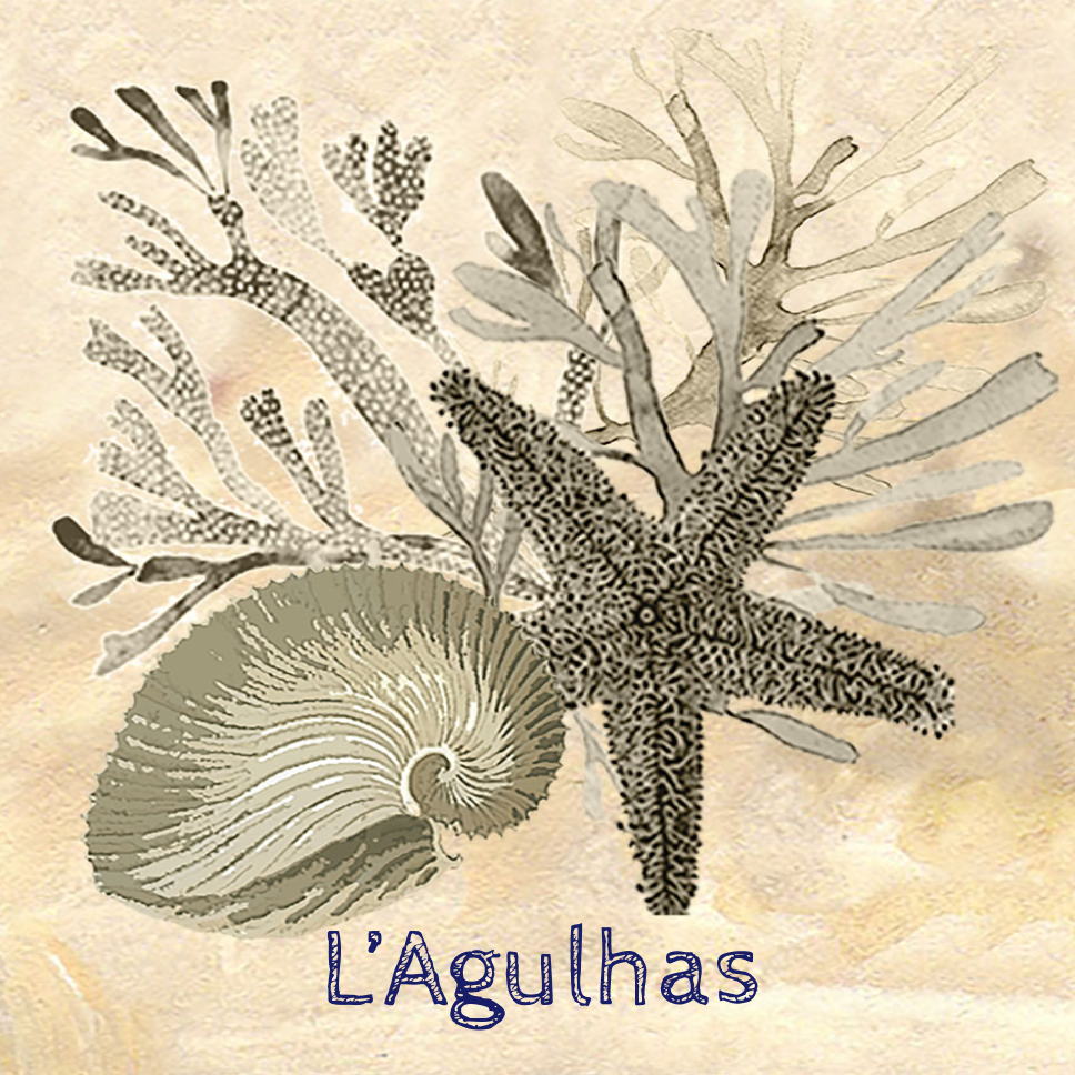 Lagulhas Coaster 11