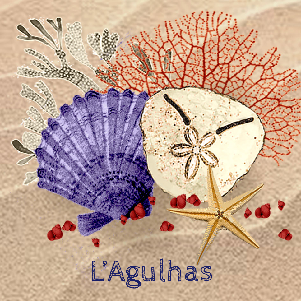 Lagulhas Coaster 12