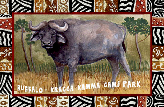 Kragga Kamma Game Reserve Magnet 3