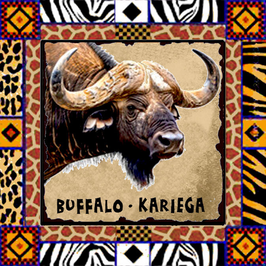 Kariega Magnet 5
