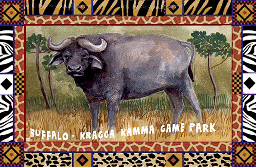 Kragga Kamma Game Reserve Magnet 1