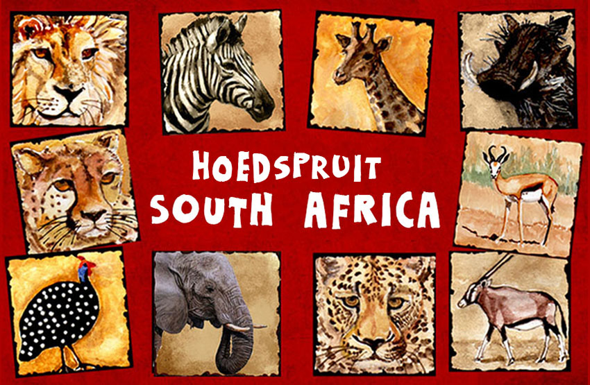 Product showcase image from staged upload