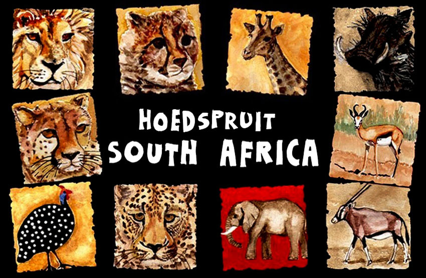 Product showcase image from staged upload