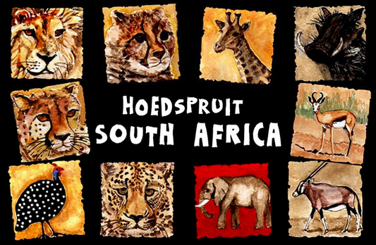 Product showcase image from staged upload