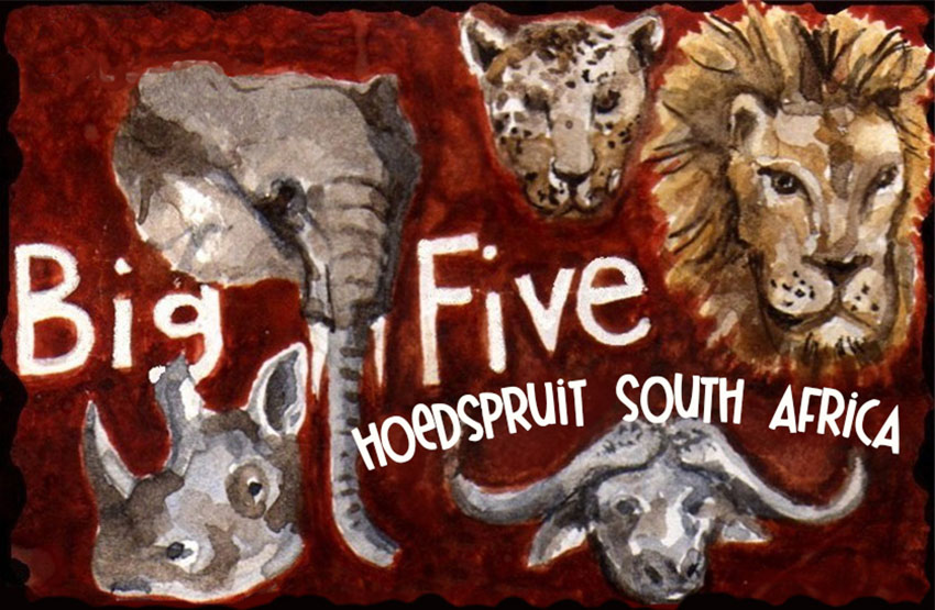 Product showcase image from staged upload