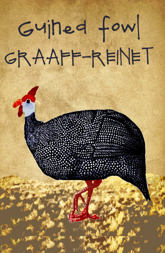 Graaff Reinet Magnet 31