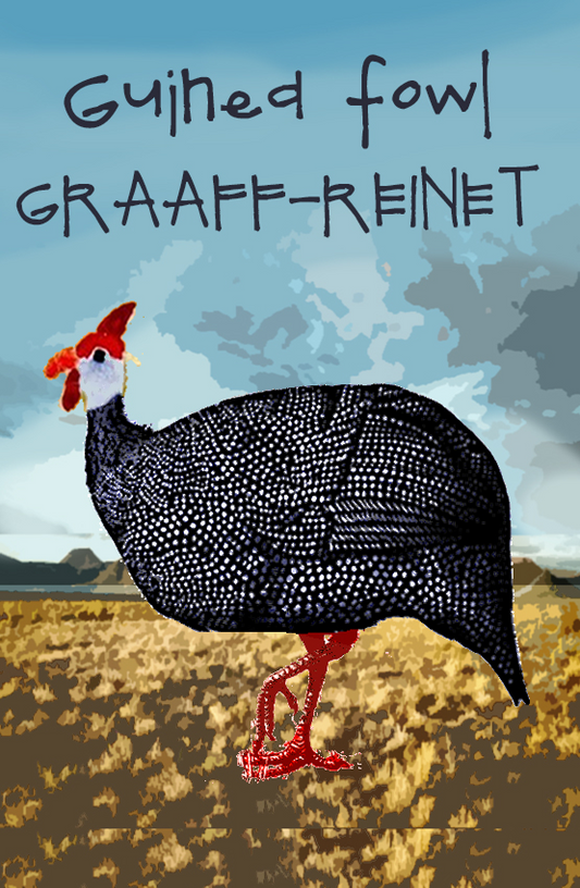 Graaff Reinet Magnet 32