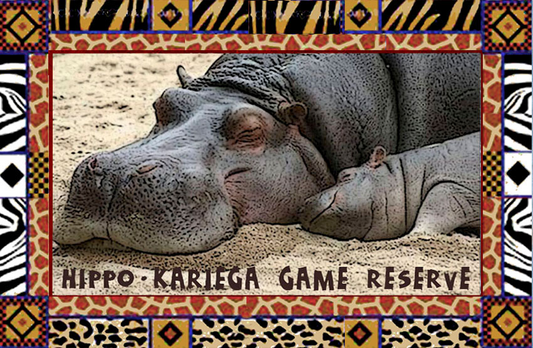 Kariega Magnet 9