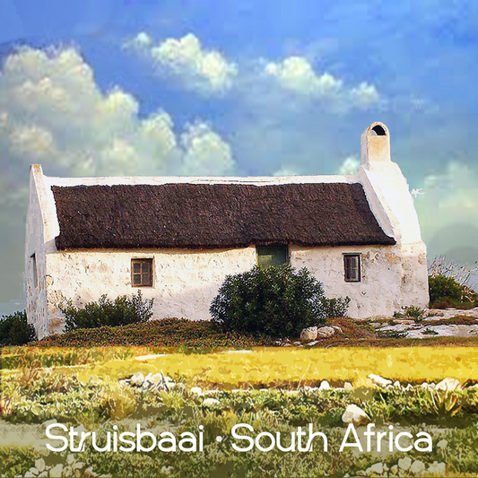 Struisbaai Coaster 8