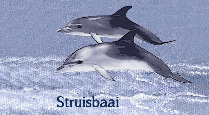 Struisbaai Keyring 9