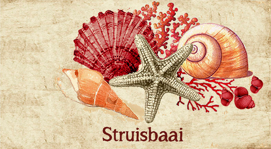 Struisbaai Keyring 24