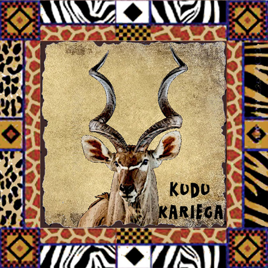 Kariega Magnet 12