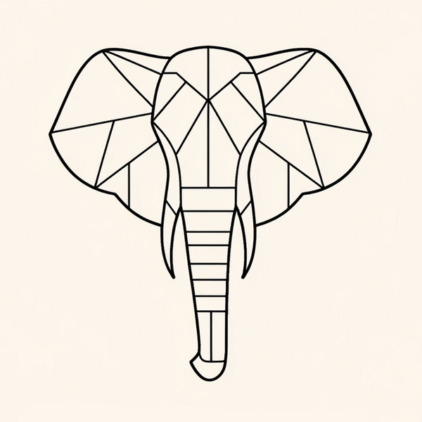 Alles van Afrika