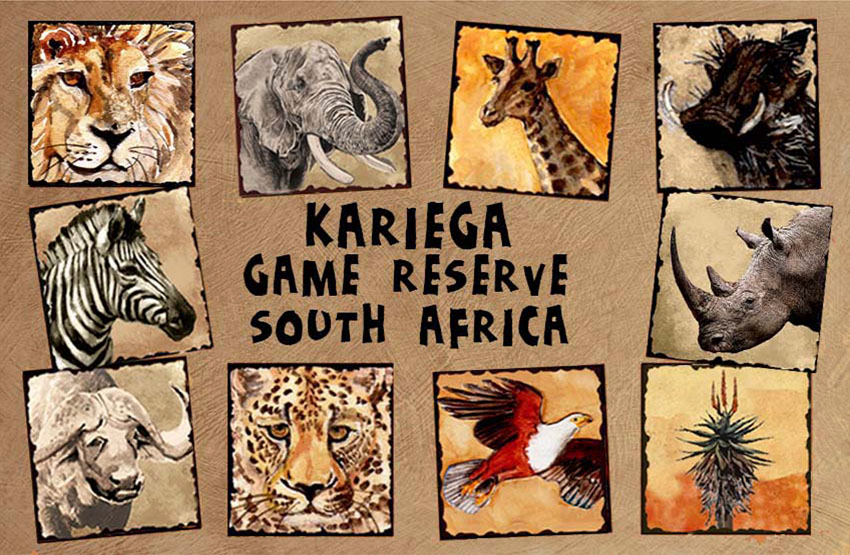 Kariega Magnet 17