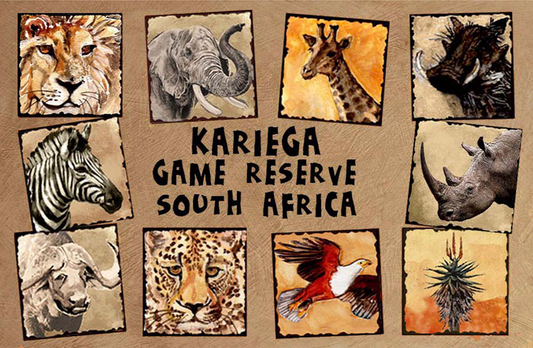 Kariega Magnet 17
