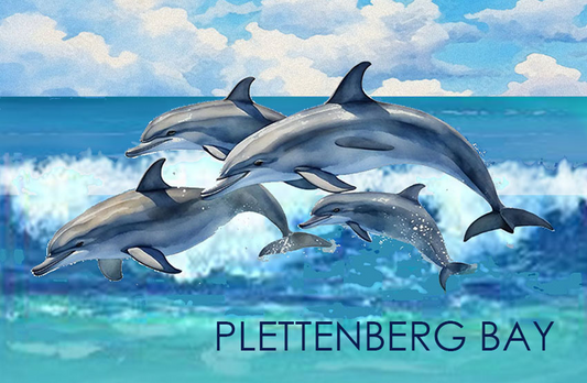 Product showcase image from staged upload