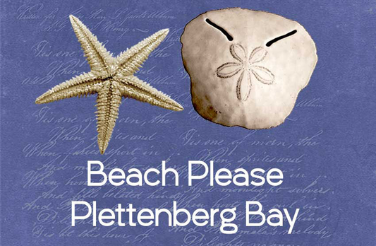 Product showcase image from staged upload