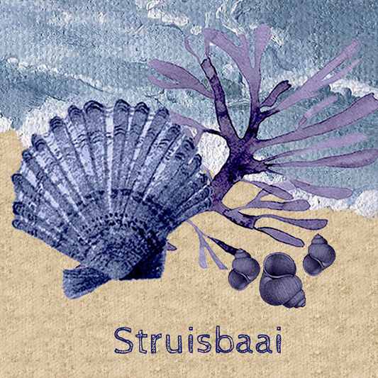 Struisbaai Coaster 10