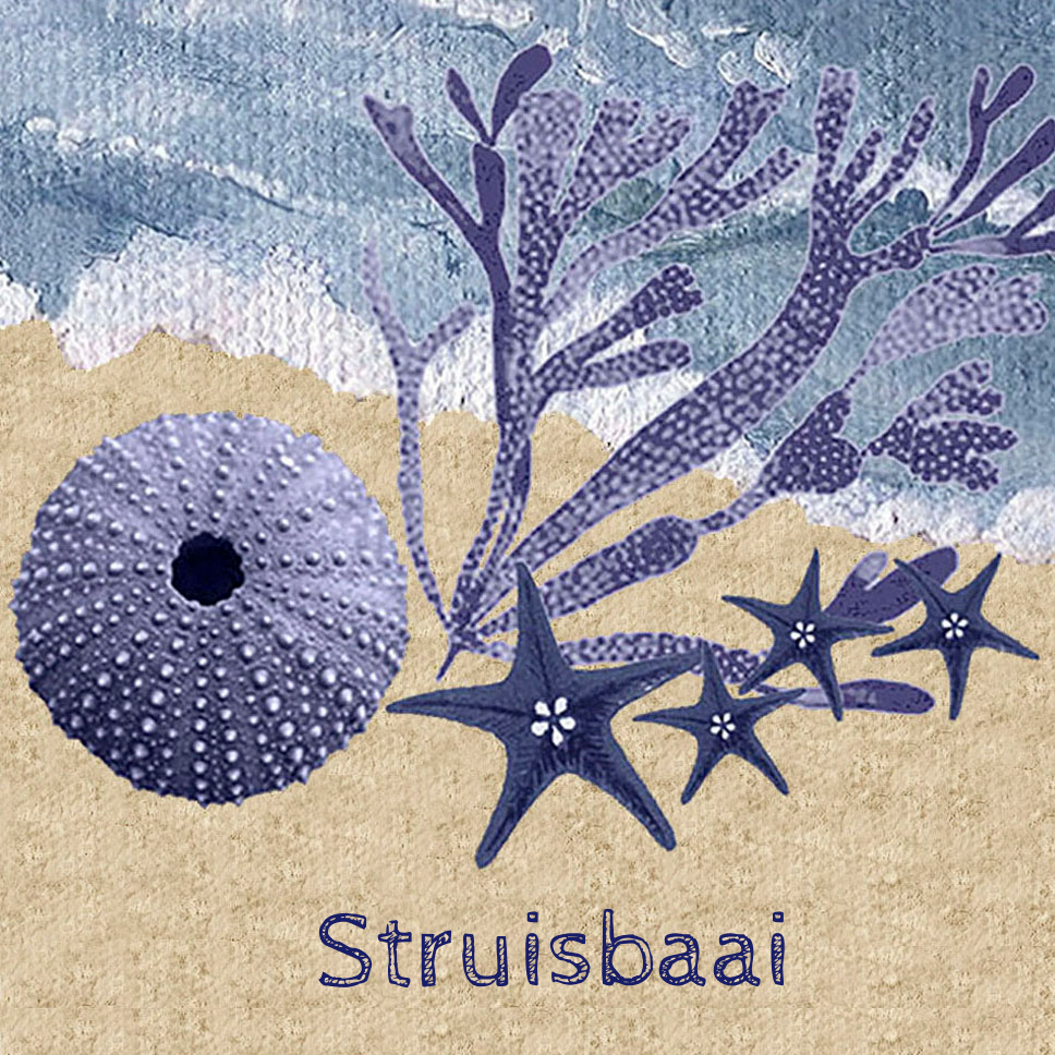 Struisbaai Coaster 12
