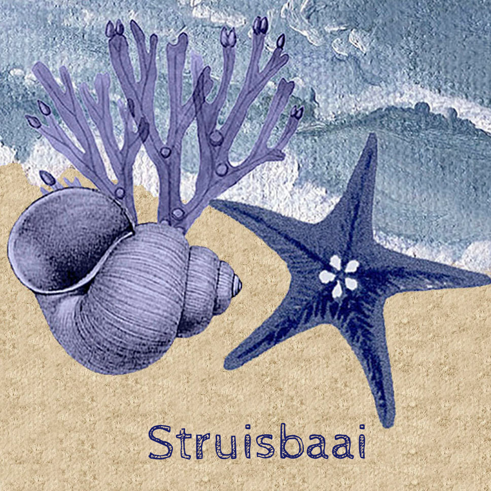 Struisbaai Coaster 13