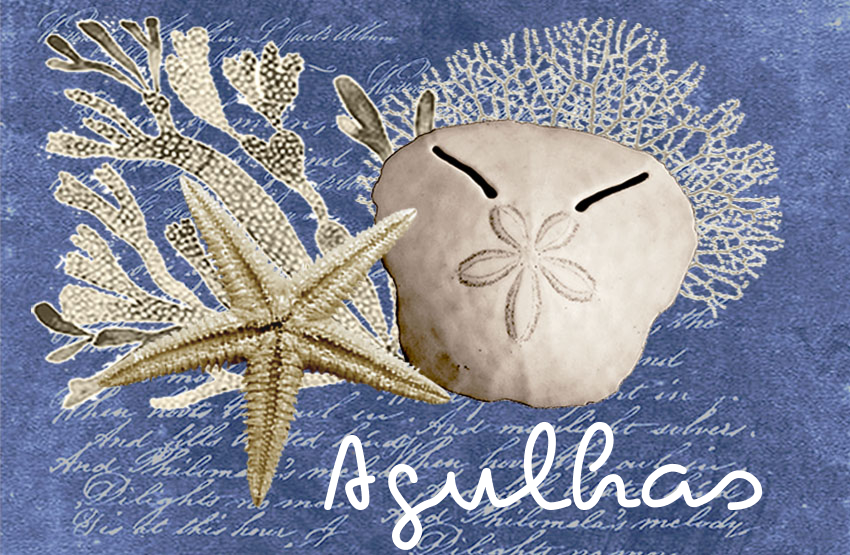 Lagulhas Magnet 77