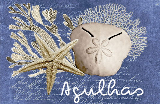 Lagulhas Magnet 77