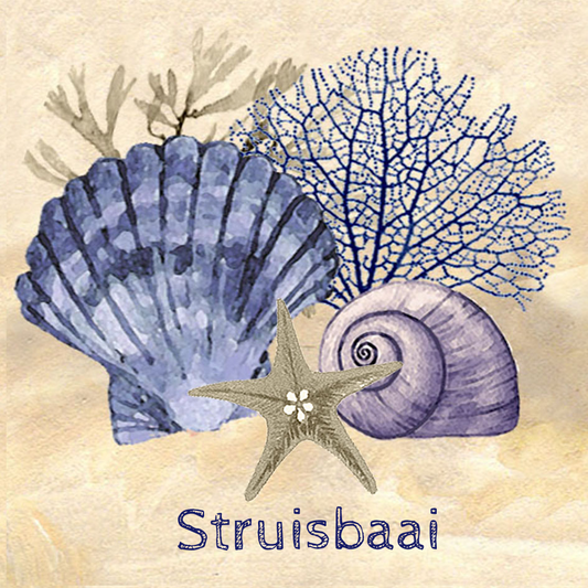 Struisbaai Coaster 16