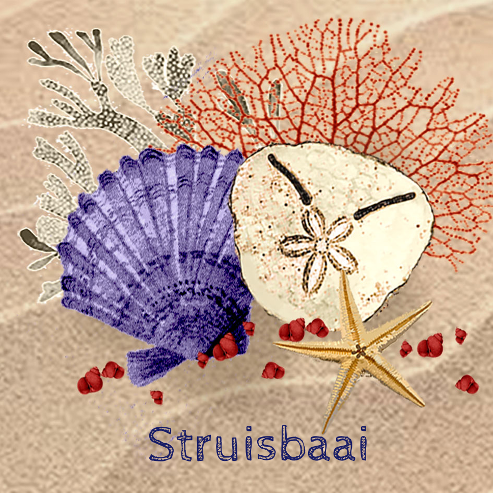 Struisbaai Coaster 18