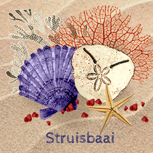 Struisbaai Coaster 18