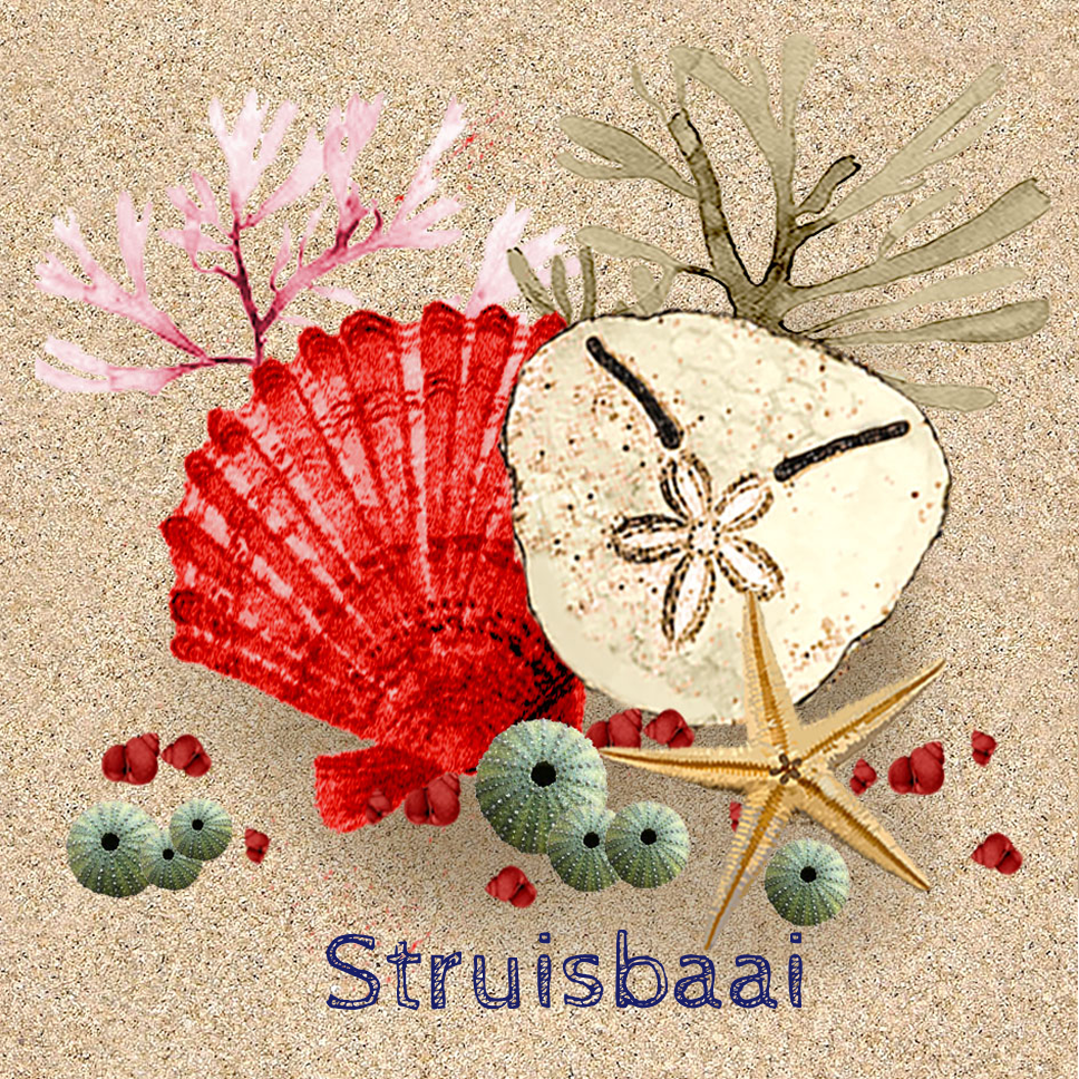Struisbaai Coaster 19
