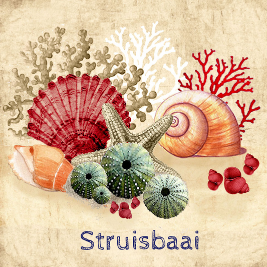 Struisbaai Coaster 21