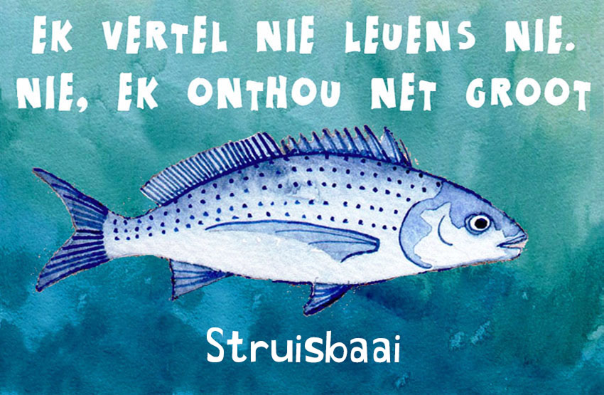 Struisbaai Magnet 21