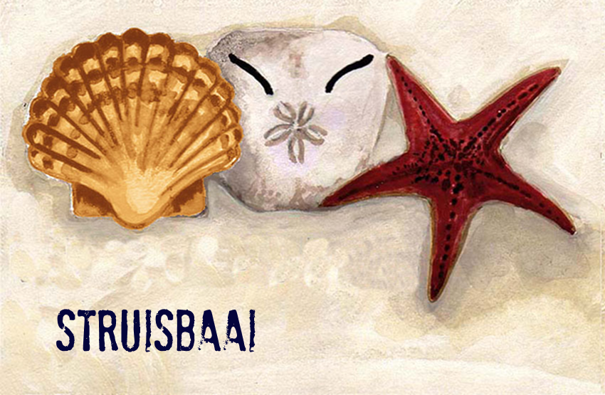 Struisbaai Magnet 42