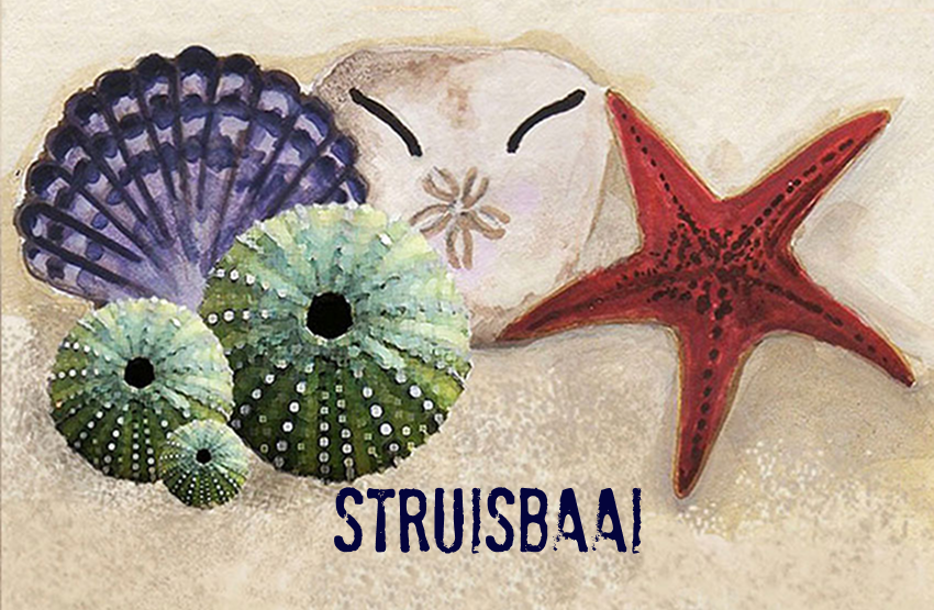 Struisbaai Magnet 43
