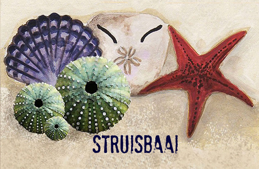 Struisbaai Magnet 43