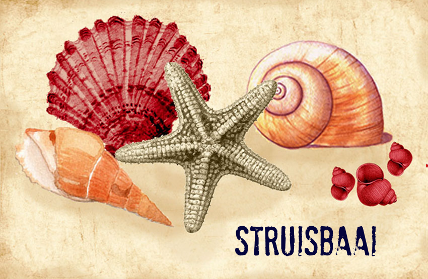 Struisbaai Magnet 44