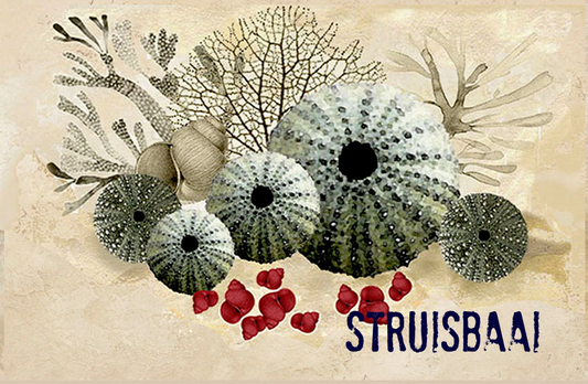 Struisbaai Magnet 45